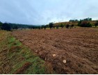 Balıkesir Dursunbey Alagüney'de 2.383 m2 Düz Uygun Tarla. Açıklamayı Okuyunuz.