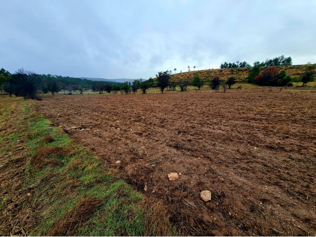 Balıkesir Dursunbey Alagüney'de 2.383 m2 Düz Uygun Tarla. Açıklamayı Okuyunuz.