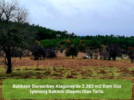 Balıkesir Dursunbey Alagüney'de 2.383 m2 Düz Uygun Tarla. Açıklamayı Okuyunuz. Balıkesir Dursunbey Alagüney'de 2.383 m2 Düz Uygun Tarla. Açıklamayı Okuyunuz.