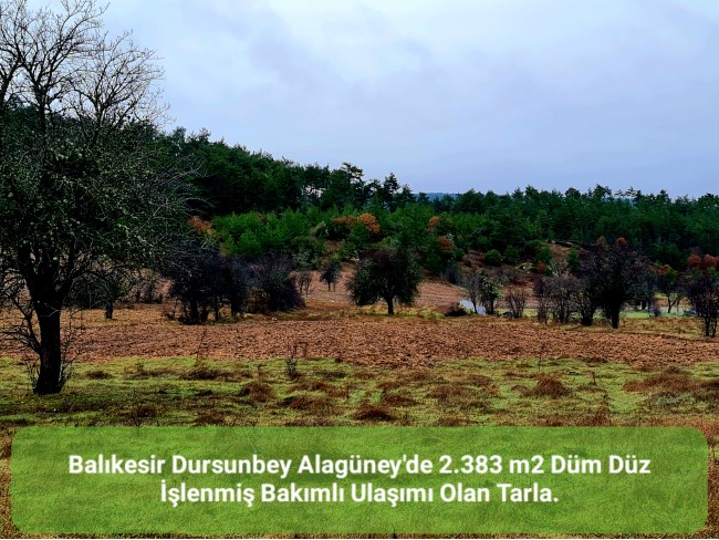 Balıkesir Dursunbey Alagüney'de 2.383 m2 Düz Uygun Tarla. Açıklamayı Okuyunuz.