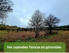 Balıkesir Dursunbey Alagüney'de 2.383 m2 Düz Uygun Tarla. Açıklamayı Okuyunuz.