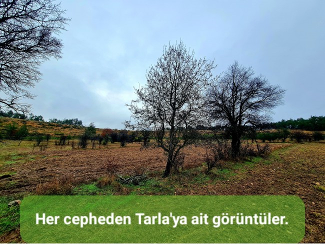 Balıkesir Dursunbey Alagüney'de 2.383 m2 Düz Uygun Tarla. Açıklamayı Okuyunuz.