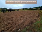 Balıkesir Dursunbey Alagüney'de 2.383 m2 Düz Uygun Tarla. Açıklamayı Okuyunuz.