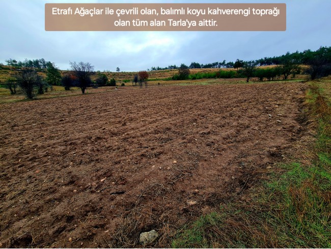 Balıkesir Dursunbey Alagüney'de 2.383 m2 Düz Uygun Tarla. Açıklamayı Okuyunuz.