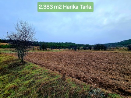 Balıkesir Dursunbey Alagüney'de 2.383 m2 Düz Uygun Tarla. Açıklamayı Okuyunuz. Balıkesir Dursunbey Alagüney'de 2.383 m2 Düz Uygun Tarla. Açıklamayı Okuyunuz.
