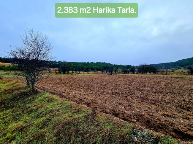 Balıkesir Dursunbey Alagüney'de 2.383 m2 Düz Uygun Tarla. Açıklamayı Okuyunuz.