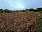 Balıkesir Dursunbey Alagüney'de 2.383 m2 Düz Uygun Tarla. Açıklamayı Okuyunuz.