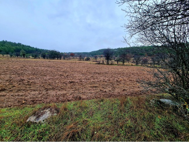 Balıkesir Dursunbey Alagüney'de 2.383 m2 Düz Uygun Tarla. Açıklamayı Okuyunuz.