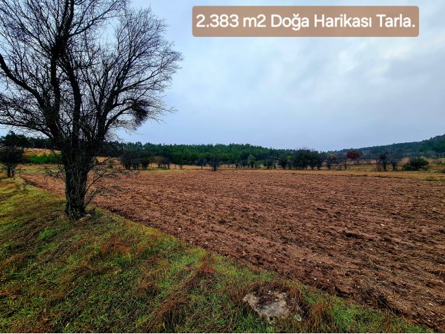 Balıkesir Dursunbey Alagüney'de 2.383 m2 Düz Uygun Tarla. Açıklamayı Okuyunuz.