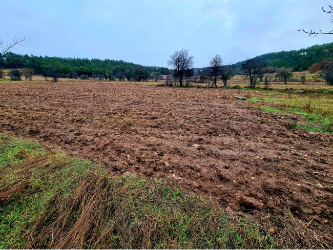 Balıkesir Dursunbey Alagüney'de 2.383 m2 Düz Uygun Tarla. Açıklamayı Okuyunuz.