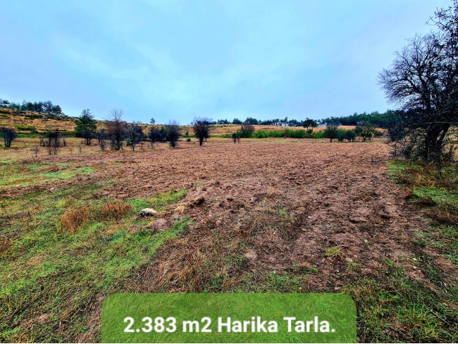 Balıkesir Dursunbey Alagüney'de 2.383 m2 Düz Uygun Tarla. Açıklamayı Okuyunuz.