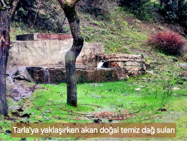 Balıkesir Dursunbey Alagüney'de 2.383 m2 Düz Uygun Tarla. Açıklamayı Okuyunuz.