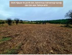 Balıkesir Dursunbey Alagüney'de 2.383 m2 Düz Uygun Tarla. Açıklamayı Okuyunuz.