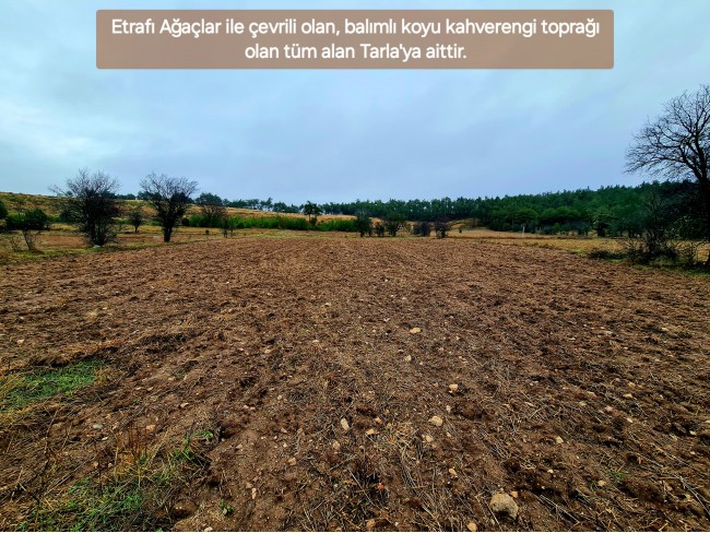 Balıkesir Dursunbey Alagüney'de 2.383 m2 Düz Uygun Tarla. Açıklamayı Okuyunuz.