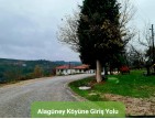 Balıkesir Dursunbey Alagüney'de 2.383 m2 Düz Uygun Tarla. Açıklamayı Okuyunuz.