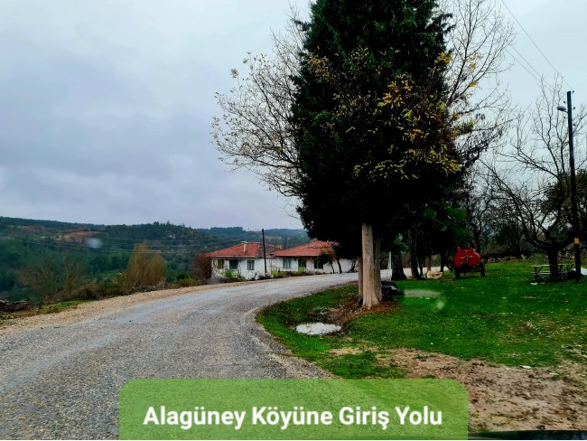 Balıkesir Dursunbey Alagüney'de 2.383 m2 Düz Uygun Tarla. Açıklamayı Okuyunuz.