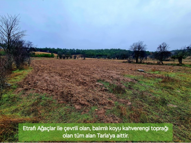 Balıkesir Dursunbey Alagüney'de 2.383 m2 Düz Uygun Tarla. Açıklamayı Okuyunuz.