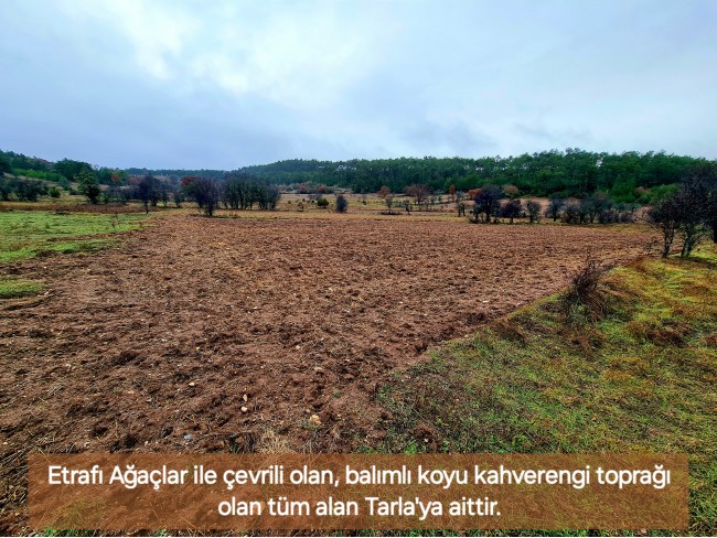 Balıkesir Dursunbey Alagüney'de 2.383 m2 Düz Uygun Tarla. Açıklamayı Okuyunuz.
