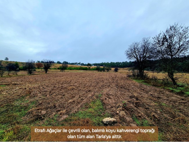 Balıkesir Dursunbey Alagüney'de 2.383 m2 Düz Uygun Tarla. Açıklamayı Okuyunuz.
