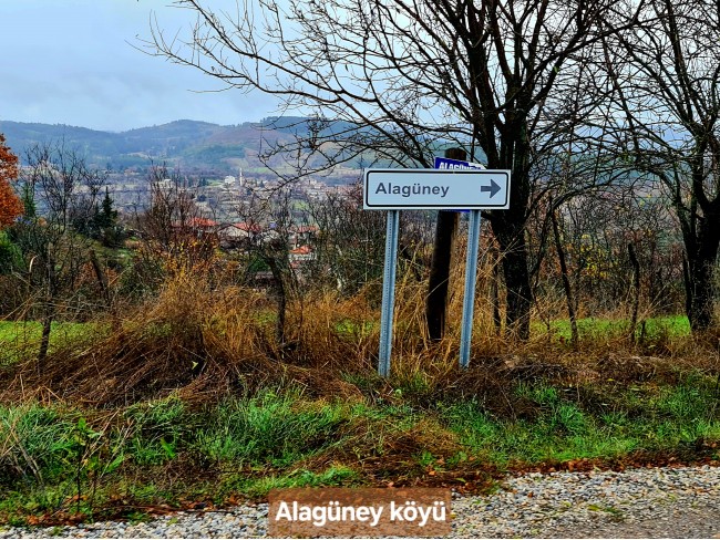 Balıkesir Dursunbey Alagüney'de 2.383 m2 Düz Uygun Tarla. Açıklamayı Okuyunuz.