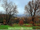 Balıkesir Dursunbey Alagüney'de 2.383 m2 Düz Uygun Tarla. Açıklamayı Okuyunuz.