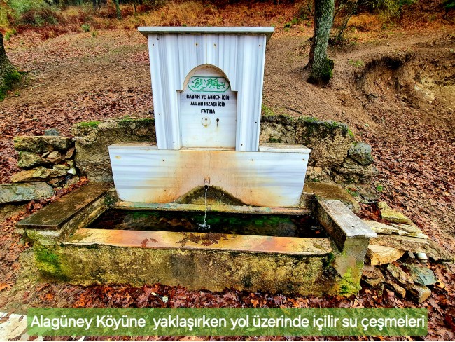 Balıkesir Dursunbey Alagüney'de 2.383 m2 Düz Uygun Tarla. Açıklamayı Okuyunuz.