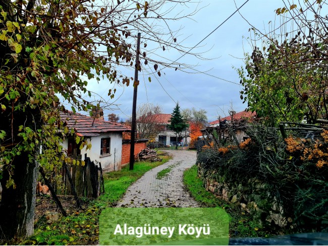 Balıkesir Dursunbey Alagüney'de 2.383 m2 Düz Uygun Tarla. Açıklamayı Okuyunuz.