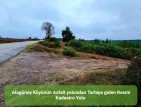 Balıkesir Dursunbey Alagüney'de 2.383 m2 Düz Uygun Tarla. Açıklamayı Okuyunuz.