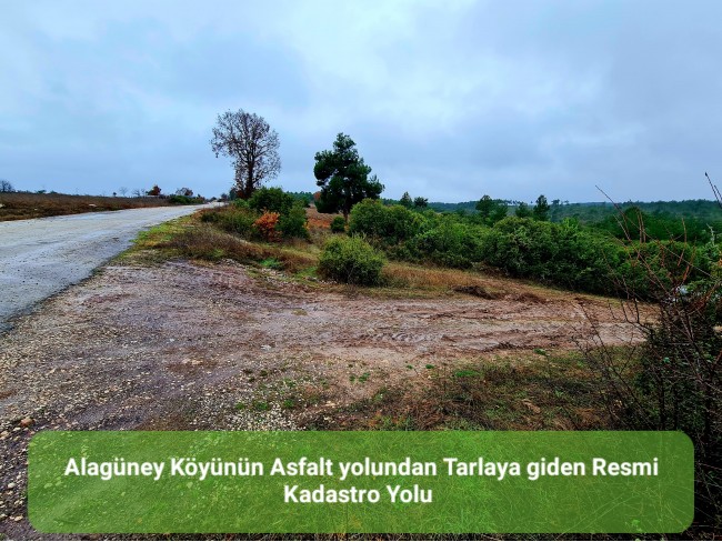 Balıkesir Dursunbey Alagüney'de 2.383 m2 Düz Uygun Tarla. Açıklamayı Okuyunuz.
