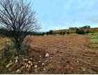 Balıkesir Dursunbey Alagüney'de 2.383 m2 Düz Uygun Tarla. Açıklamayı Okuyunuz.