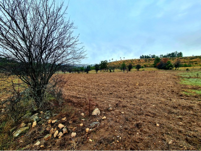 Balıkesir Dursunbey Alagüney'de 2.383 m2 Düz Uygun Tarla. Açıklamayı Okuyunuz.
