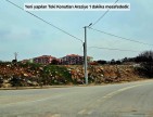 Denizli Bekilli Üçkuyu'nun En Güzel Konumunda 1.161 m2 Yatırımlık Tarla.
