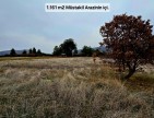 Denizli Bekilli Üçkuyu'nun En Güzel Konumunda 1.161 m2 Yatırımlık Tarla.