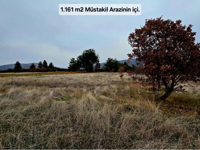 Denizli Bekilli Üçkuyu'nun En Güzel Konumunda 1.161 m2 Yatırımlık Tarla.