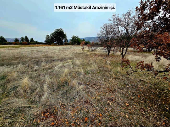 Denizli Bekilli Üçkuyu'nun En Güzel Konumunda 1.161 m2 Yatırımlık Tarla.