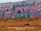 Denizli Bekilli Üçkuyu'nun En Güzel Konumunda 1.161 m2 Yatırımlık Tarla.