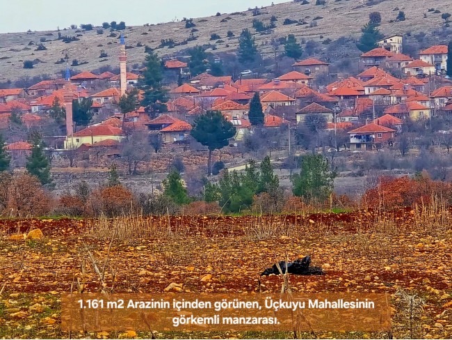 Denizli Bekilli Üçkuyu'nun En Güzel Konumunda 1.161 m2 Yatırımlık Tarla.