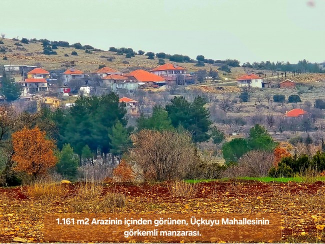 Denizli Bekilli Üçkuyu'nun En Güzel Konumunda 1.161 m2 Yatırımlık Tarla.
