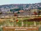 Denizli Bekilli Üçkuyu'nun En Güzel Konumunda 1.161 m2 Yatırımlık Tarla.