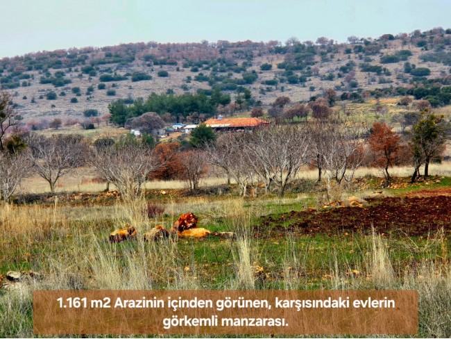 Denizli Bekilli Üçkuyu'nun En Güzel Konumunda 1.161 m2 Yatırımlık Tarla.