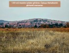 Denizli Bekilli Üçkuyu'nun En Güzel Konumunda 1.161 m2 Yatırımlık Tarla.