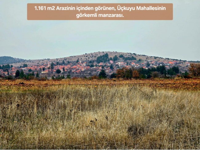 Denizli Bekilli Üçkuyu'nun En Güzel Konumunda 1.161 m2 Yatırımlık Tarla.