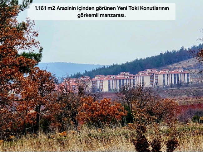 Denizli Bekilli Üçkuyu'nun En Güzel Konumunda 1.161 m2 Yatırımlık Tarla.
