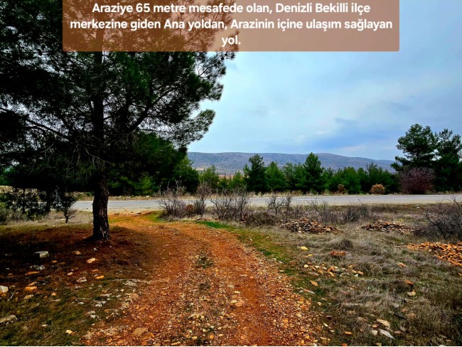Denizli Bekilli Üçkuyu'nun En Güzel Konumunda 1.161 m2 Yatırımlık Tarla.