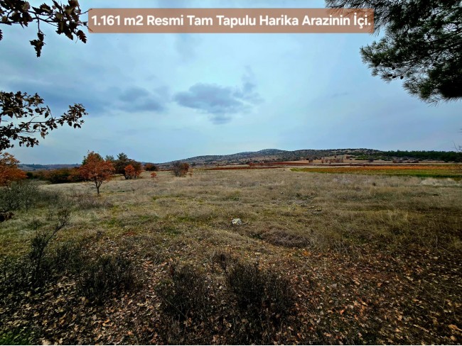 Denizli Bekilli Üçkuyu'nun En Güzel Konumunda 1.161 m2 Yatırımlık Tarla.