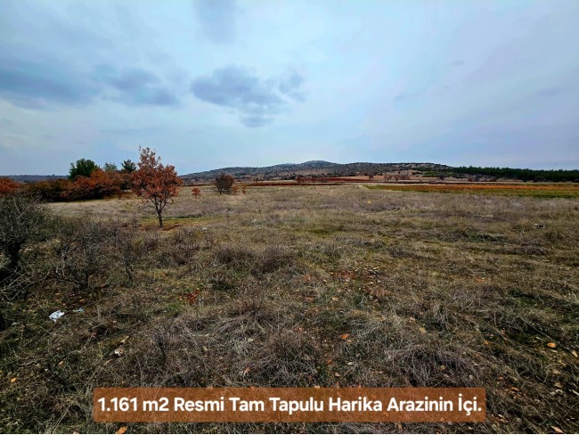 Denizli Bekilli Üçkuyu'nun En Güzel Konumunda 1.161 m2 Yatırımlık Tarla.