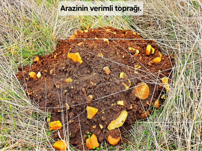 Denizli Bekilli Üçkuyu'nun En Güzel Konumunda 1.161 m2 Yatırımlık Tarla.