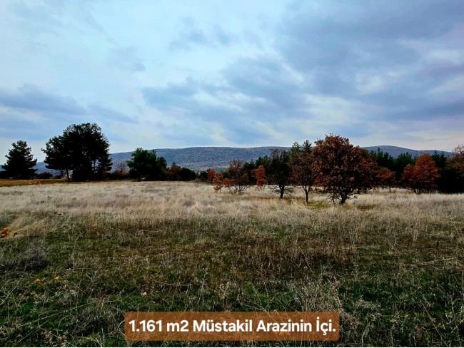 Denizli Bekilli Üçkuyu'nun En Güzel Konumunda 1.161 m2 Yatırımlık Tarla.
