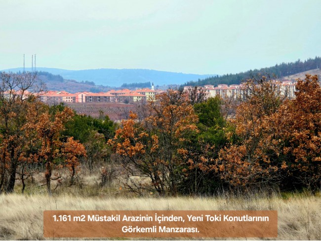 Denizli Bekilli Üçkuyu'nun En Güzel Konumunda 1.161 m2 Yatırımlık Tarla.