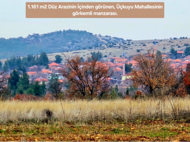 Denizli Bekilli Üçkuyu'nun En Güzel Konumunda 1.161 m2 Yatırımlık Tarla.
